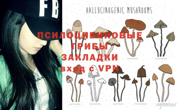 стафф Белокуриха