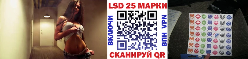 Марки N-bome 1500мкг  где продают наркотики  Ессентуки 