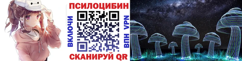 Псилоцибиновые грибы прущие грибы  хочу   Ессентуки 