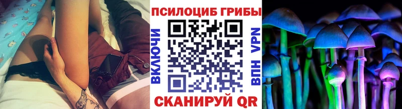 Псилоцибиновые грибы мухоморы Ессентуки