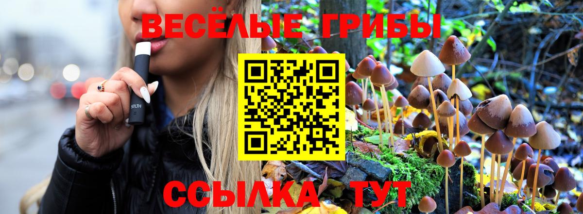 Галлюциногенные грибы Cubensis Ессентуки