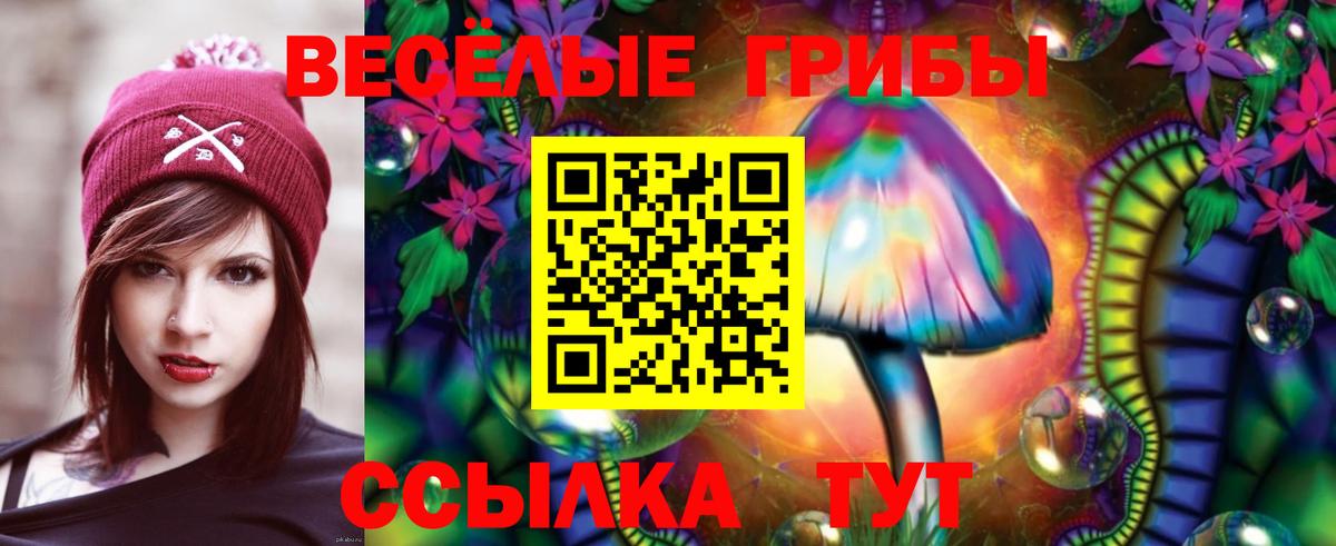 Псилоцибиновые грибы прущие грибы  Вход с VPN  Ессентуки  Галлюциногенные грибы ЛСД 